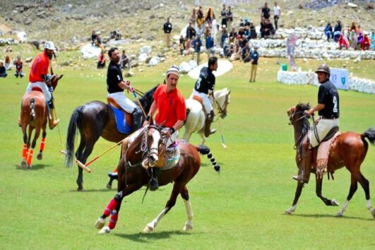 Polo Festivals