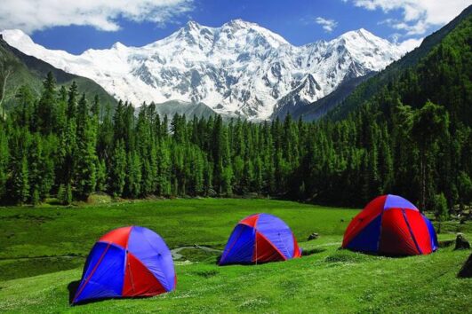 Fairy Meadows Trek & Hunza Tour