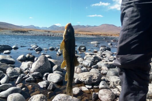 Fishing